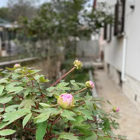 Valsaline Apartment *